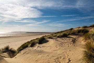 a view over sand dunes, at camber sands on the sussex coast