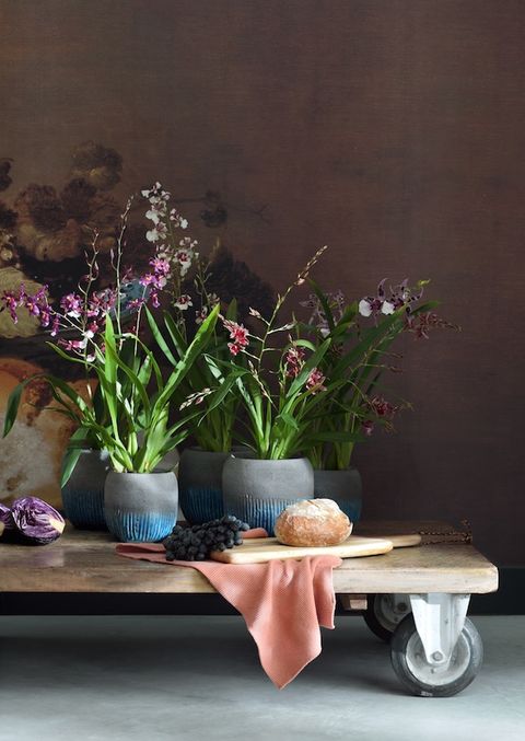 Flowerpot, Flower, Interior design, Lavender, Purple, Petal, Artifact, Vase, Flower Arranging, Still life photography, 