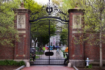 harvard police say lock on main gate was cut with bolt cutters during pro palestinian protest