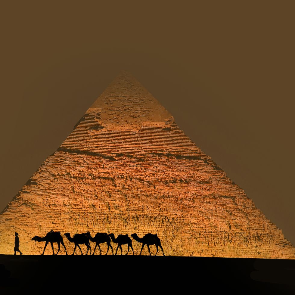 camel train near pyramids