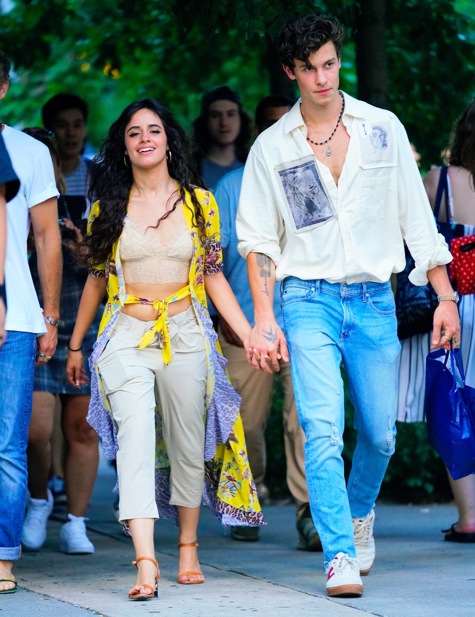 Camila Cabello And Shawn Mendes's Body Language Explained