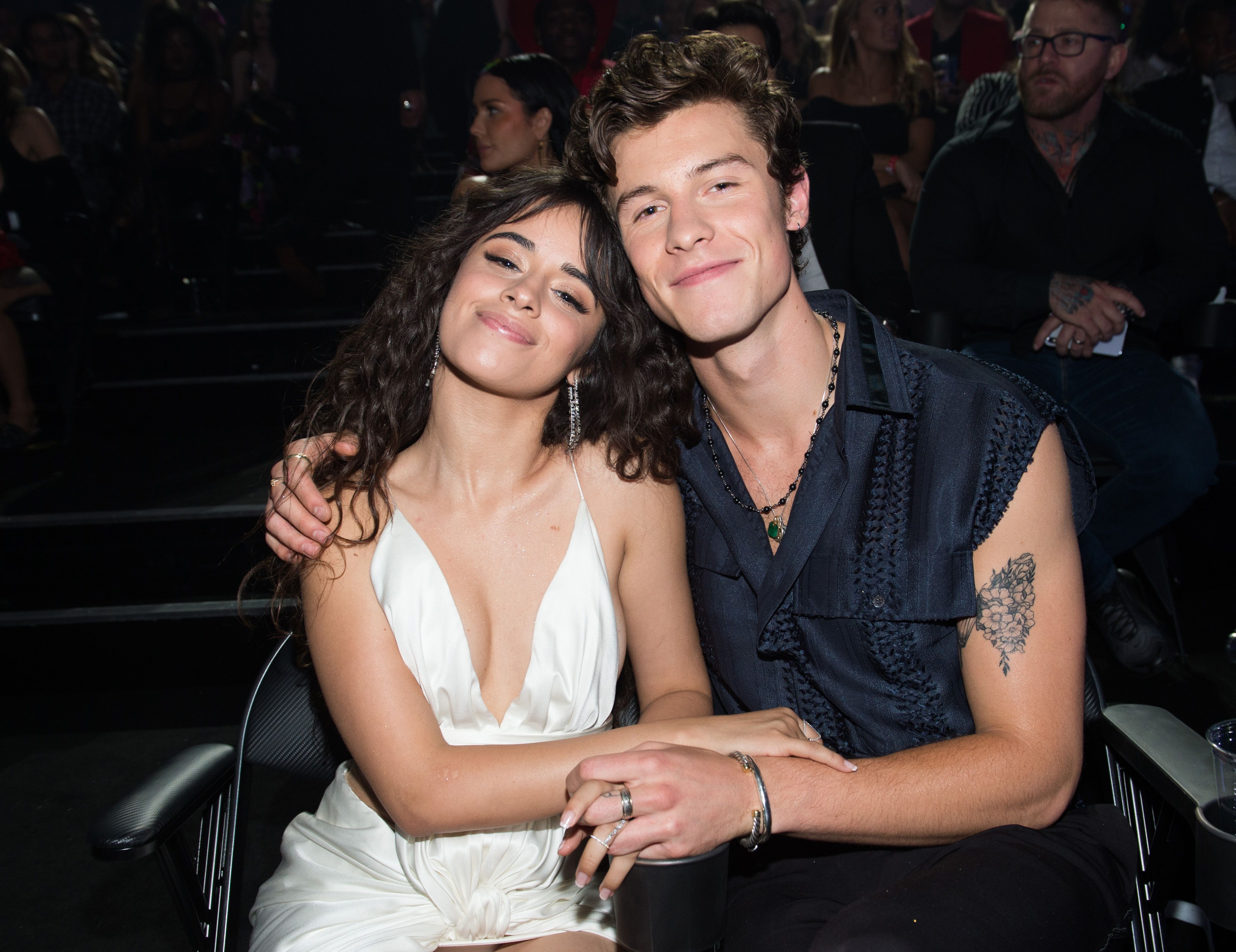Shawn Mendes: Camila Cabello influenced 'Wonder' in 'a million different  ways' - National | Globalnews.ca