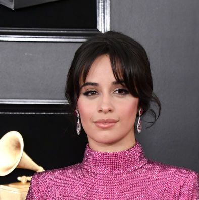 Cabello Walked the 2019 Grammys Red Carpet With Family