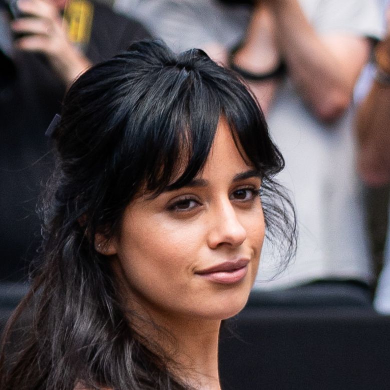 Camila Cabello shows off her generous curves in a low-cut bra top
