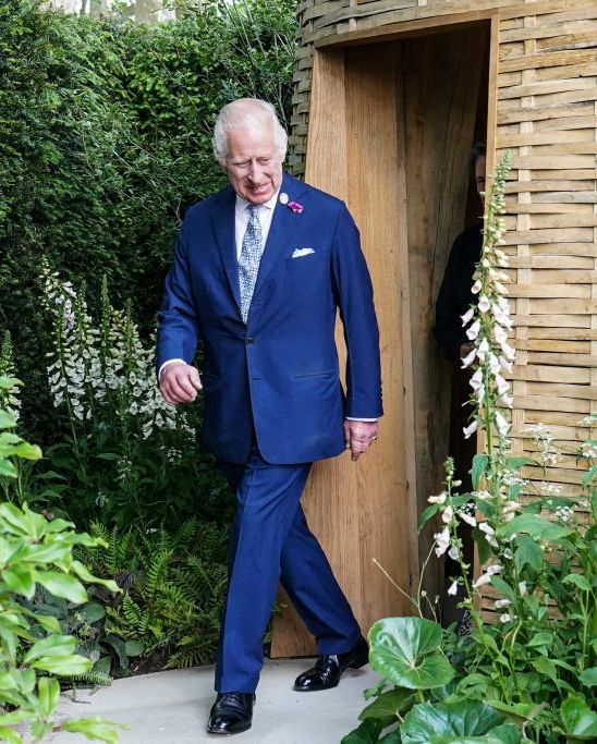 king charles at chelsea flower show 2024