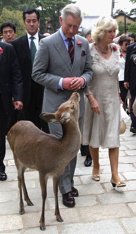 Prince Charles And Duchess Of Cornwall Visit Japan - Day 3