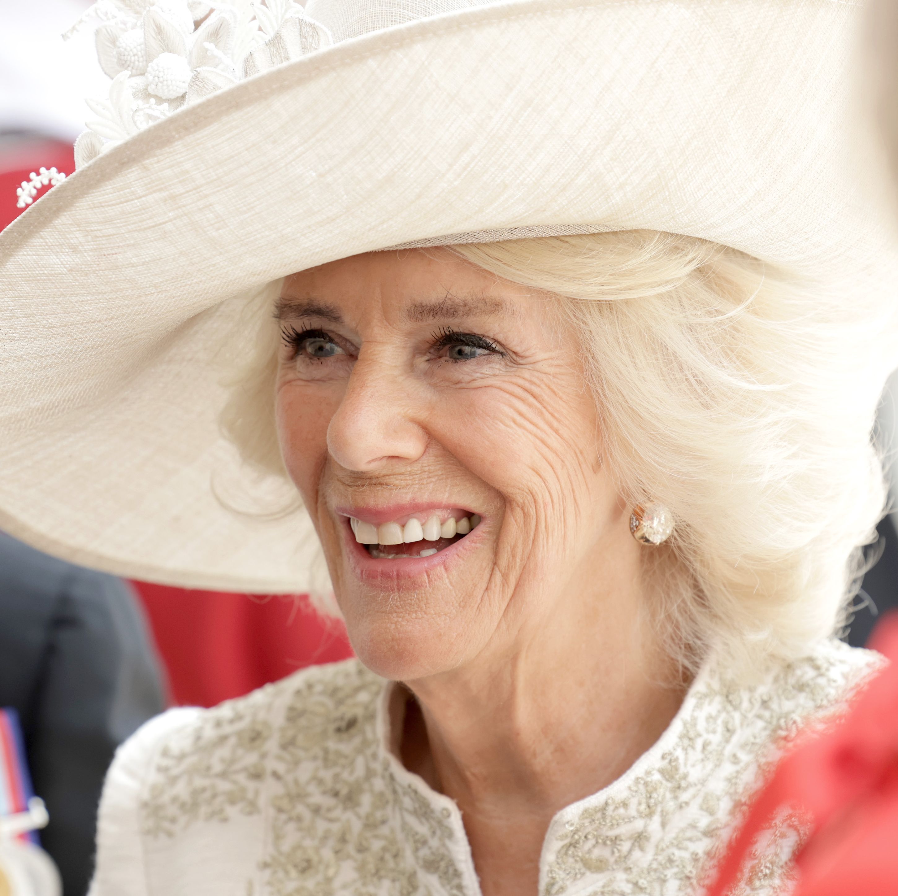 The Vindication of Queen Camilla
