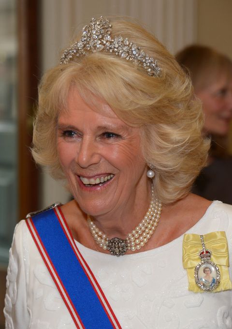 the duchess of cornwall attends the royal academy of arts annual dinner