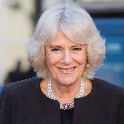 the duchess of cornwall hosts a reception for the london taxi drivers' charity for children