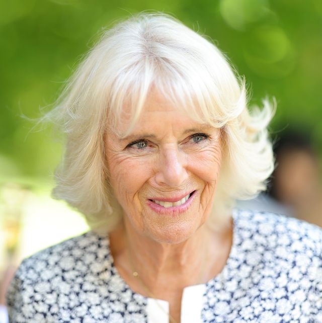 the duchess of cornwall celebrates the 160th anniversary of battersea dogs and cats home