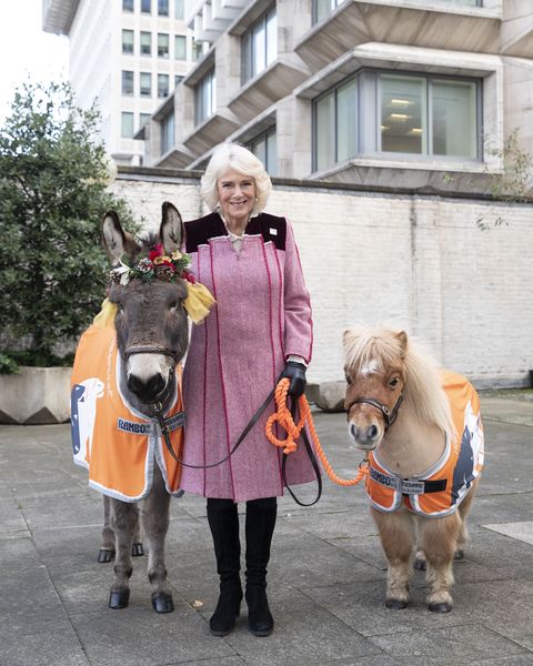 Camilla, Duchess of Cornwall Attends  Animal Welfare Charity Event At Guards Chapel