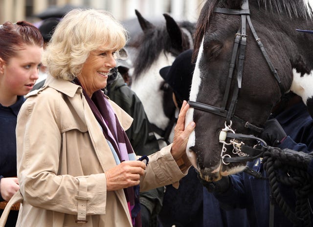 duchess of cornwall horses charity