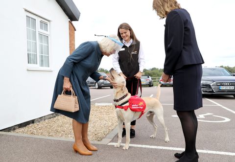 the duchess of cornwall visits medical detection dogs