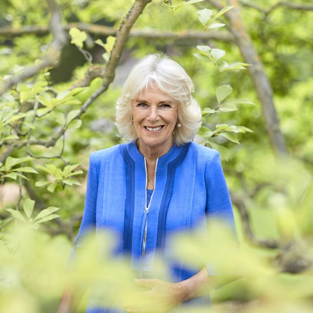 official portrait of the duchess of cornwall to mark hrh's 73rd birthday