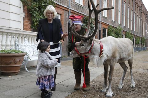 The Duchess Of Cornwall Decorates The Clarence House Christmas Tree With Families Support By Helen & Douglas House
