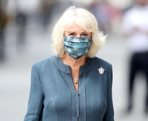 the duchess of cornwall undertakes engagements in central london