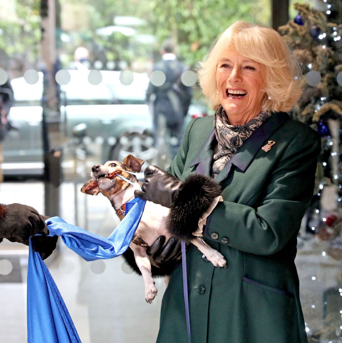 the duchess of cornwall visits battersea dogs home in windsor