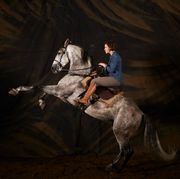 Horse, Bridle, Rein, Animal sports, Western riding, Reining, Stallion, Recreation, Darkness, Night, 