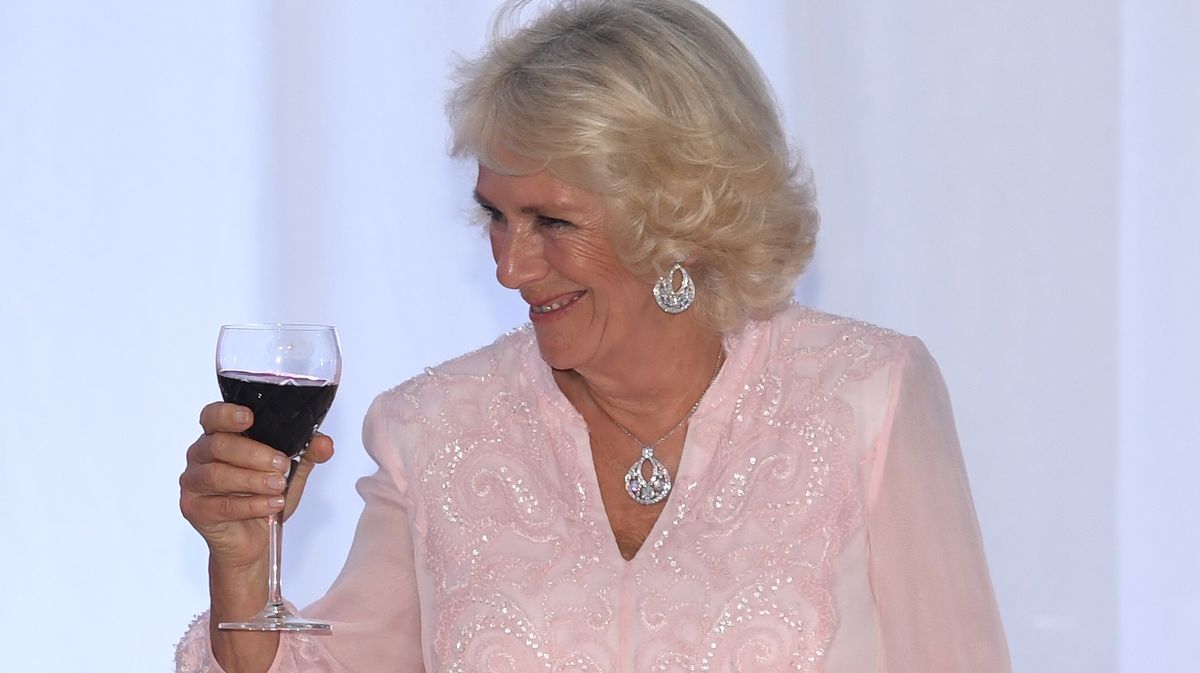 Camilla Parker Bowles Proves She's THE Queen of the Dance Floor in New Hilarious Clip 