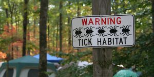 lyme disease symptoms — campground with tick sign