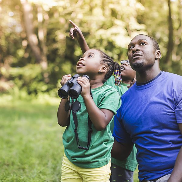 young father with son and daughter bird watching as a camping activity