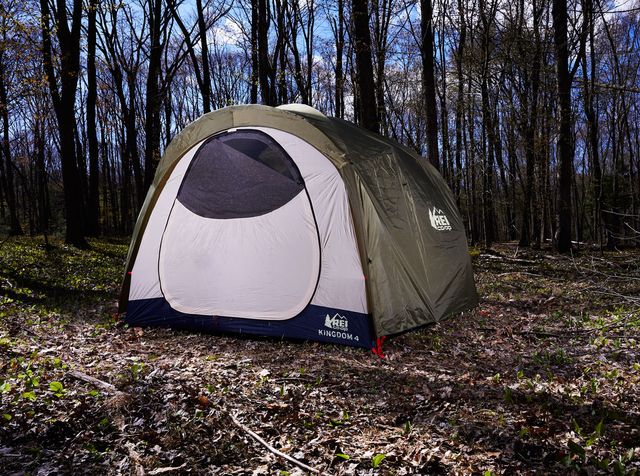 best camping tents  rei co op kingdom 4 tent