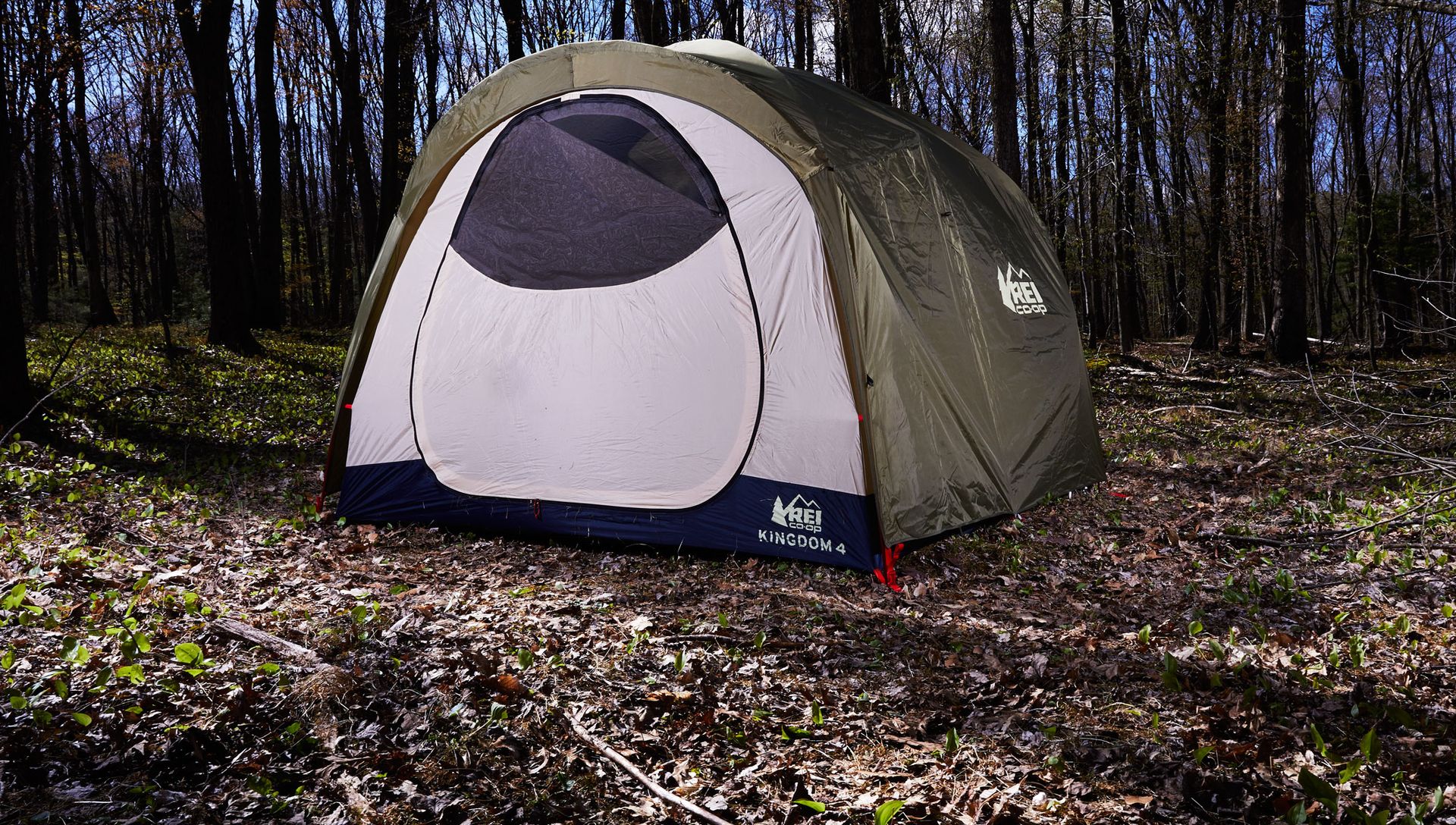 best camping tents  rei co op kingdom 4 tent