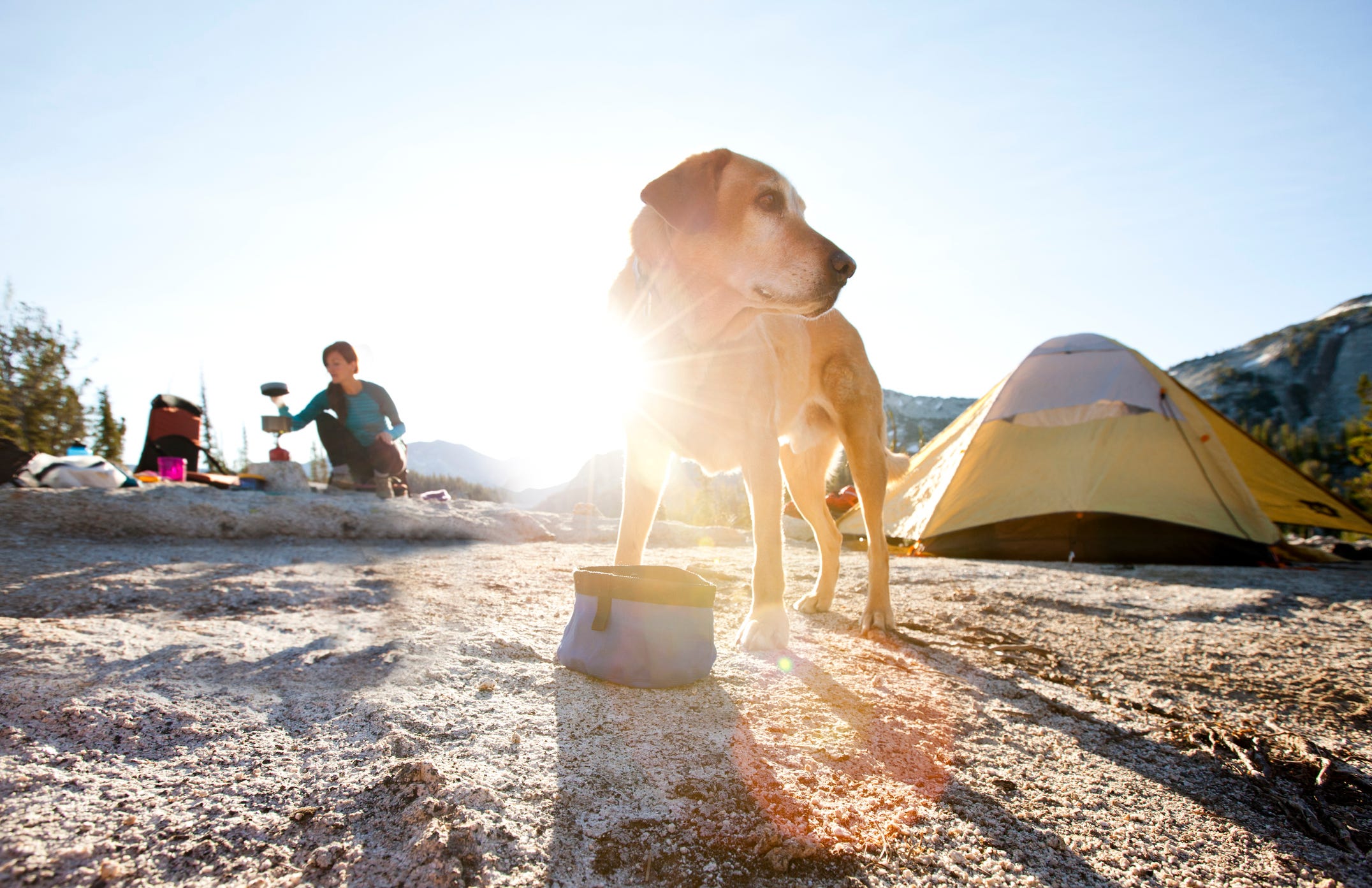 how do i take my dog camping