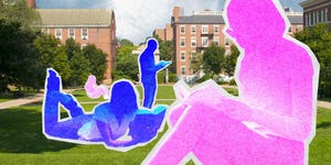 campus novels