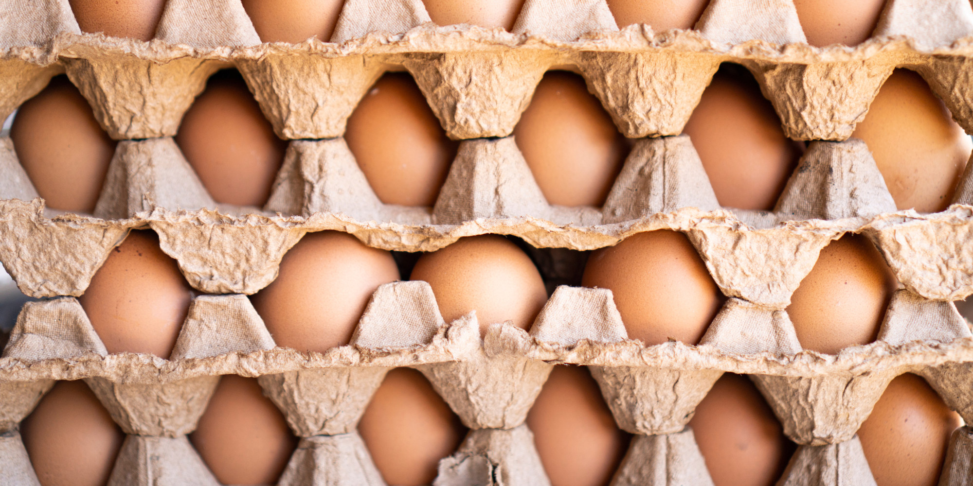 Can you eat out of date eggs Food safety experts on expired eggs