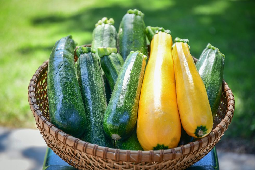 can you freeze courgettes