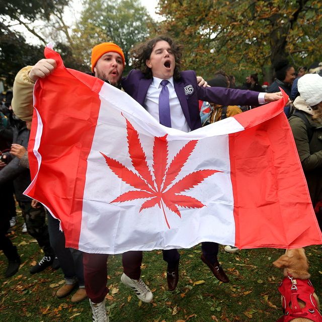 People gathered a 4:20 for a 420 celebration of legalization day of marijuana at Trinity Bellwoods
