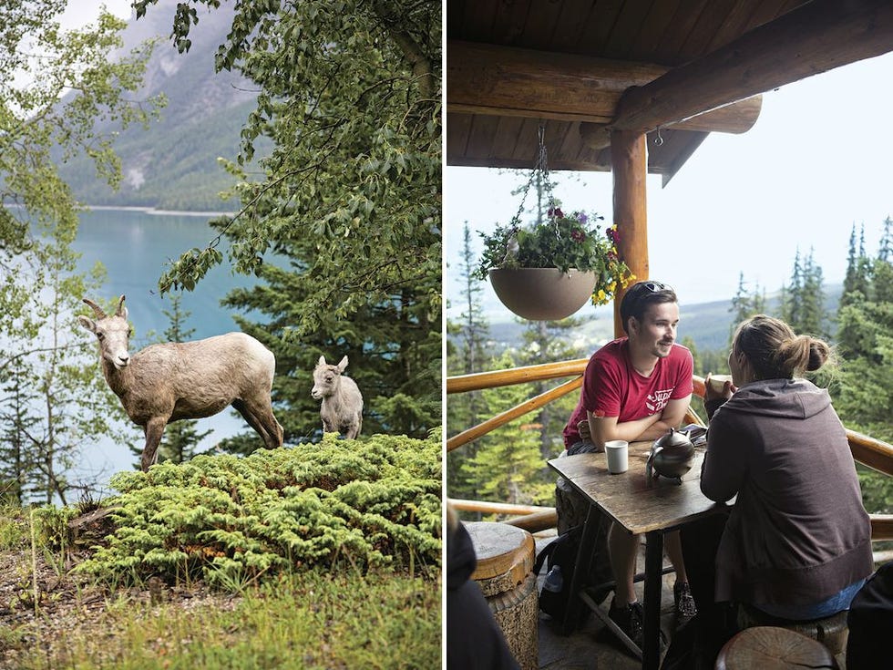 Links Dikhoornschapen grazen langs de oevers van Lake Minnewanka Rechts De pasgetrouwde Doug en Nat Macgregor genieten van het uitzicht vanuit het Lake Agnes Tea House