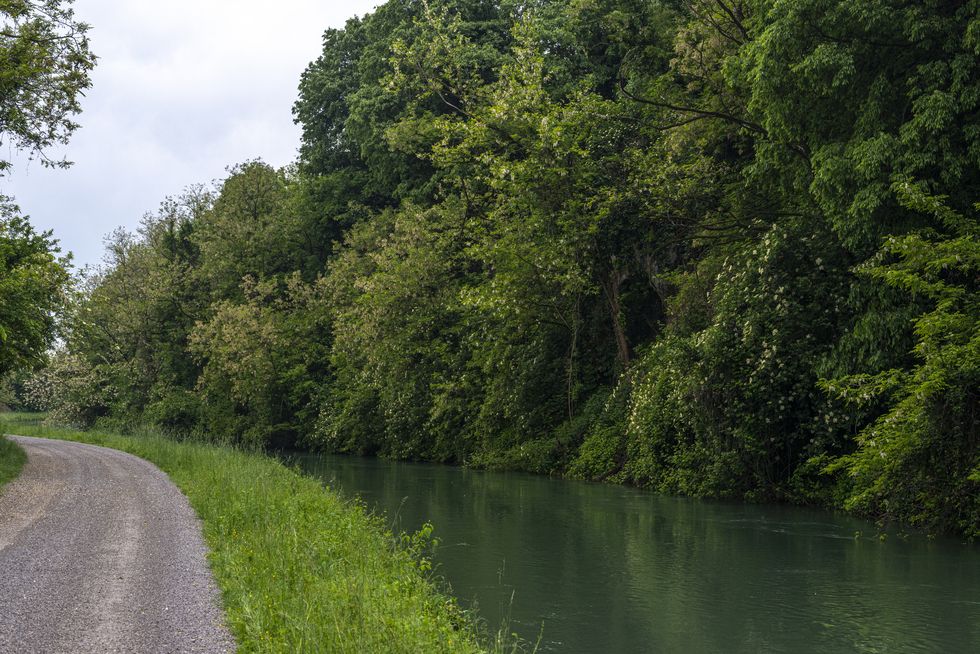 canal naviglio martesana near the town of canonica d'adda in north italy.