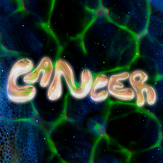 Cancer 1672772681 ?crop=0.5023255813953489xw 1xh;center,top&resize=640 *