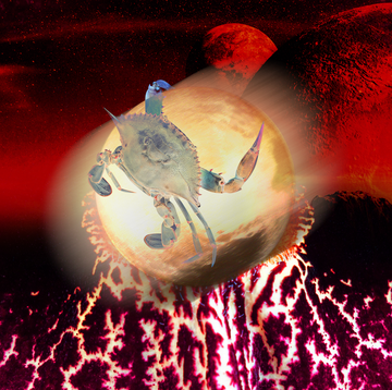 a crab over a planet with a blue and red background