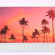 Orange, Red, Pink, Sky, Sunset, Tree, Palm tree, Sunrise, Plant, Landscape, 