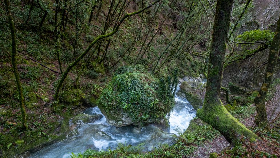 trekking a candalla