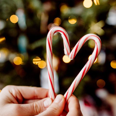 december holidays  hands holding up two candy canes in the shape of a heart