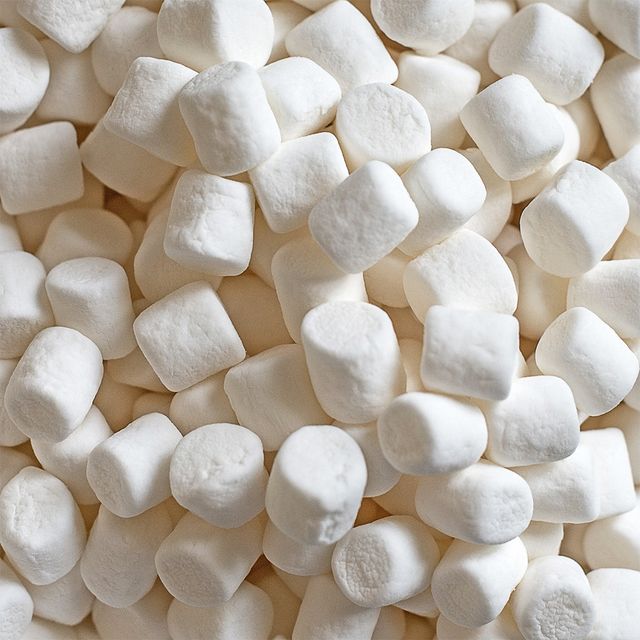 candy factory 2 and a half pound container of mini marshmallows
