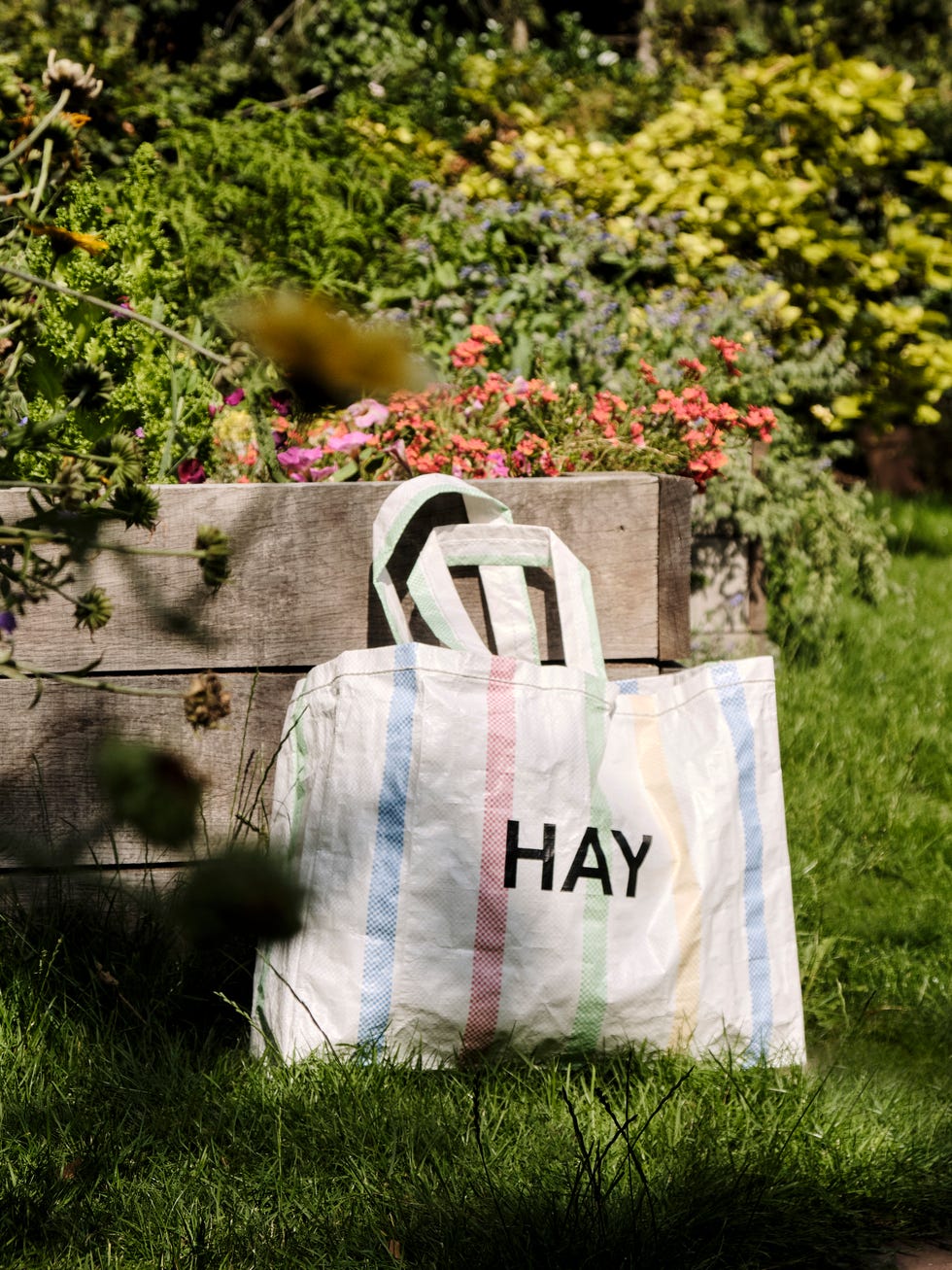 hay