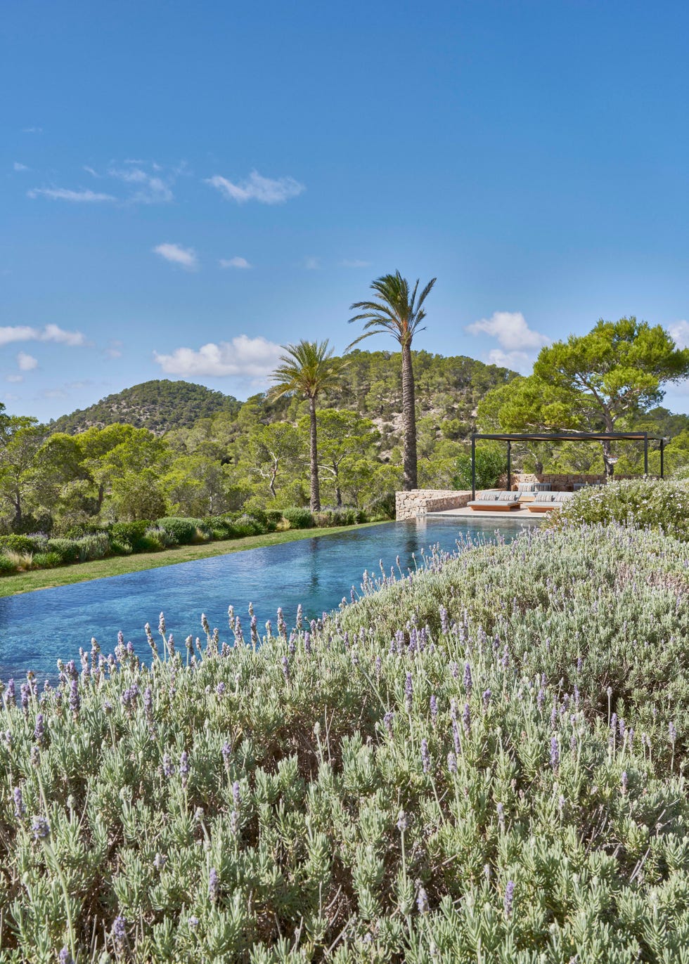infinity pool in ibiza surrounded by lush greenery and lavender