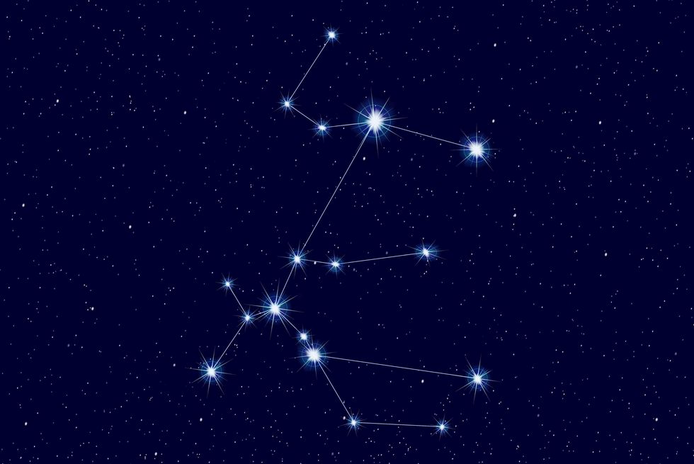 stargazing canis major the great dog constellation