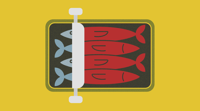canned fish