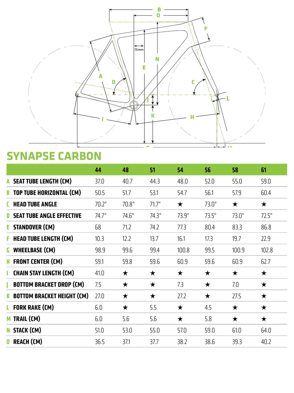 Cannondale Synapse Carbon Geometry