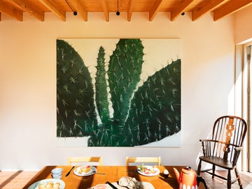 how to collect art canopy collections