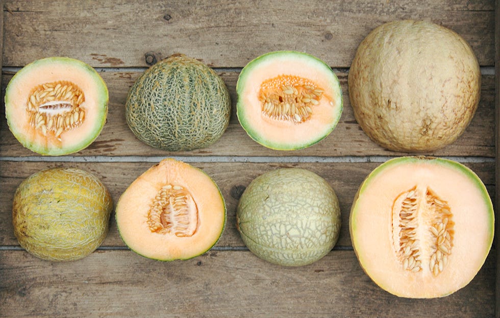 cantaloupe