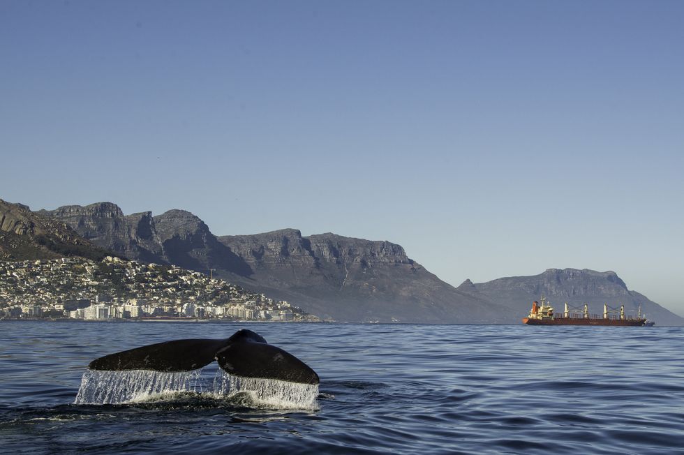 cape town