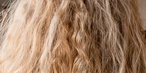 L'olio di semi di lino per la cura dei capelli ricci crespi - Ricciomatto