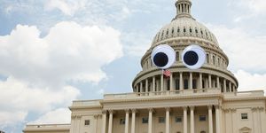 us capitol with googly eyes